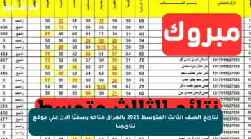 نتائج الصف الثالث المتوسط 2025 بالعراق متاحة رسميًا الآن على موقع نتائجنا